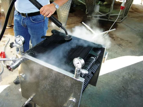 Menikini Steam Master 10 Compact